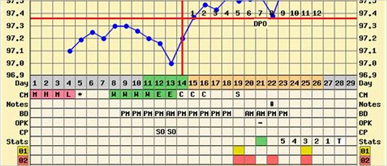 Triphasic bbt chart bfp